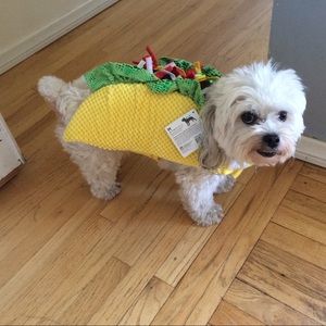 Meet your Posher, Mackenzie